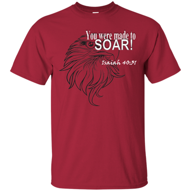 You were made to Soar
