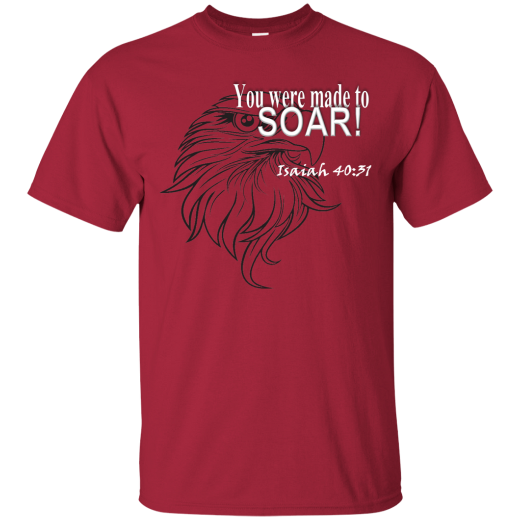 You were made to Soar