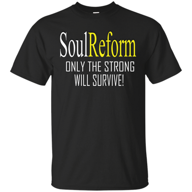 SoulReform